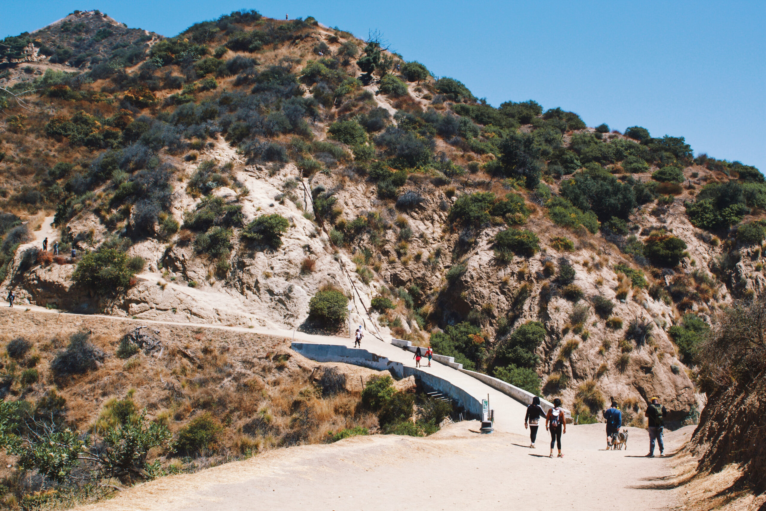 residents of griffith park        <h3 class=