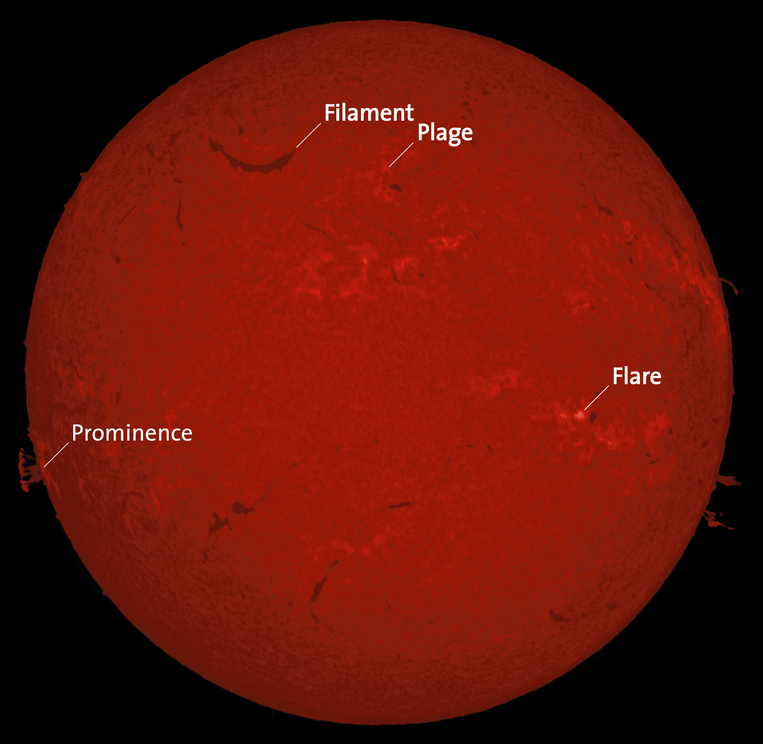 Spectrohelioscope Image