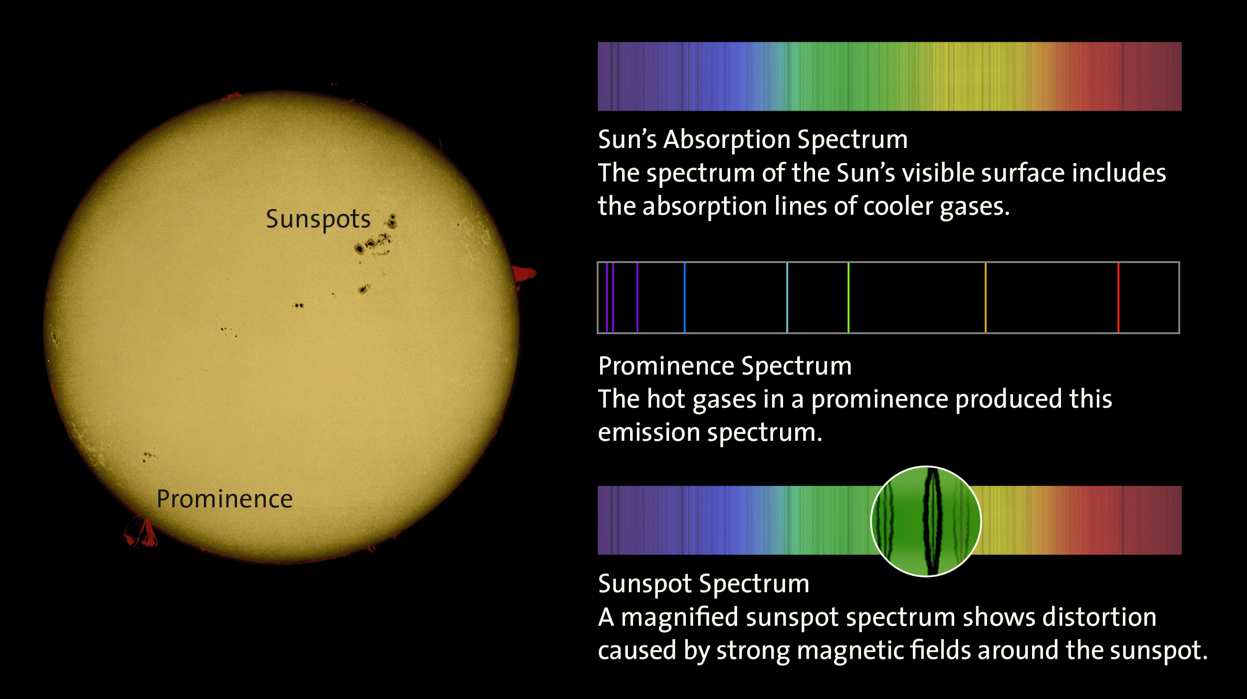 Sun Spectrums