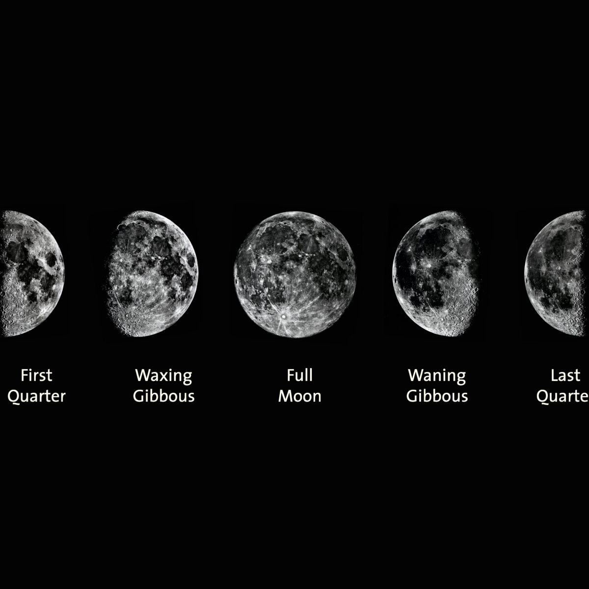 What Moon Is It Tonight 2024 Ange Sidonnie