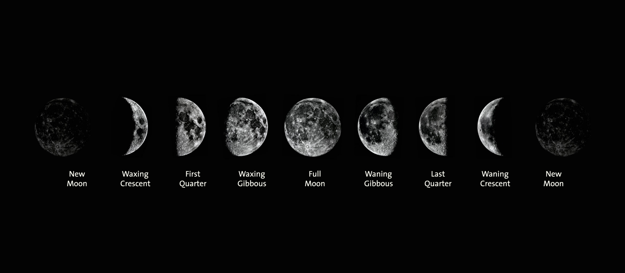 Moon FerrierAsser