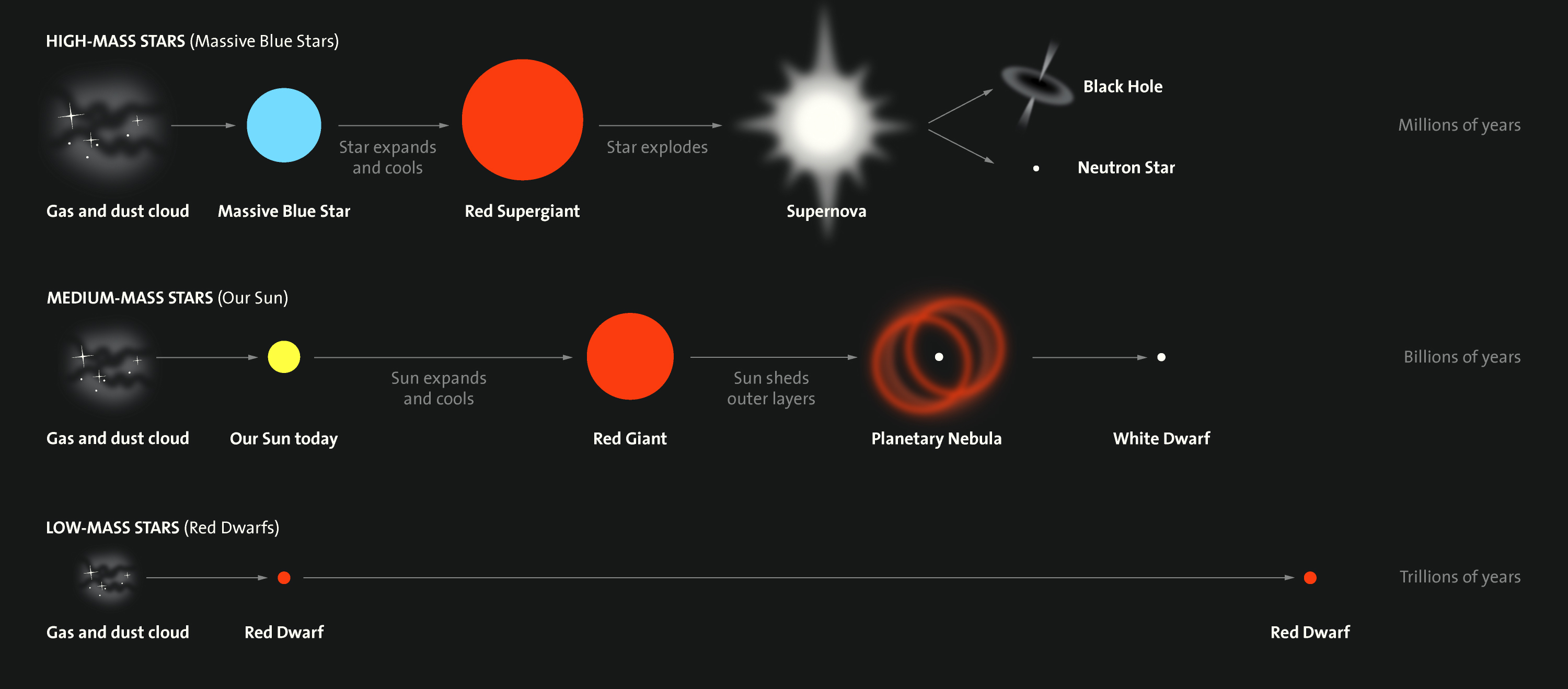 Star Life Cycles