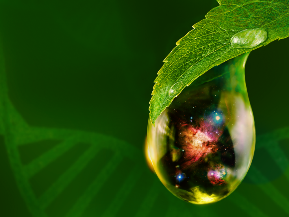 Signs of Life promotional image depicting a drop of water hanging from a leaf. Inside the drop of water is an image of space.