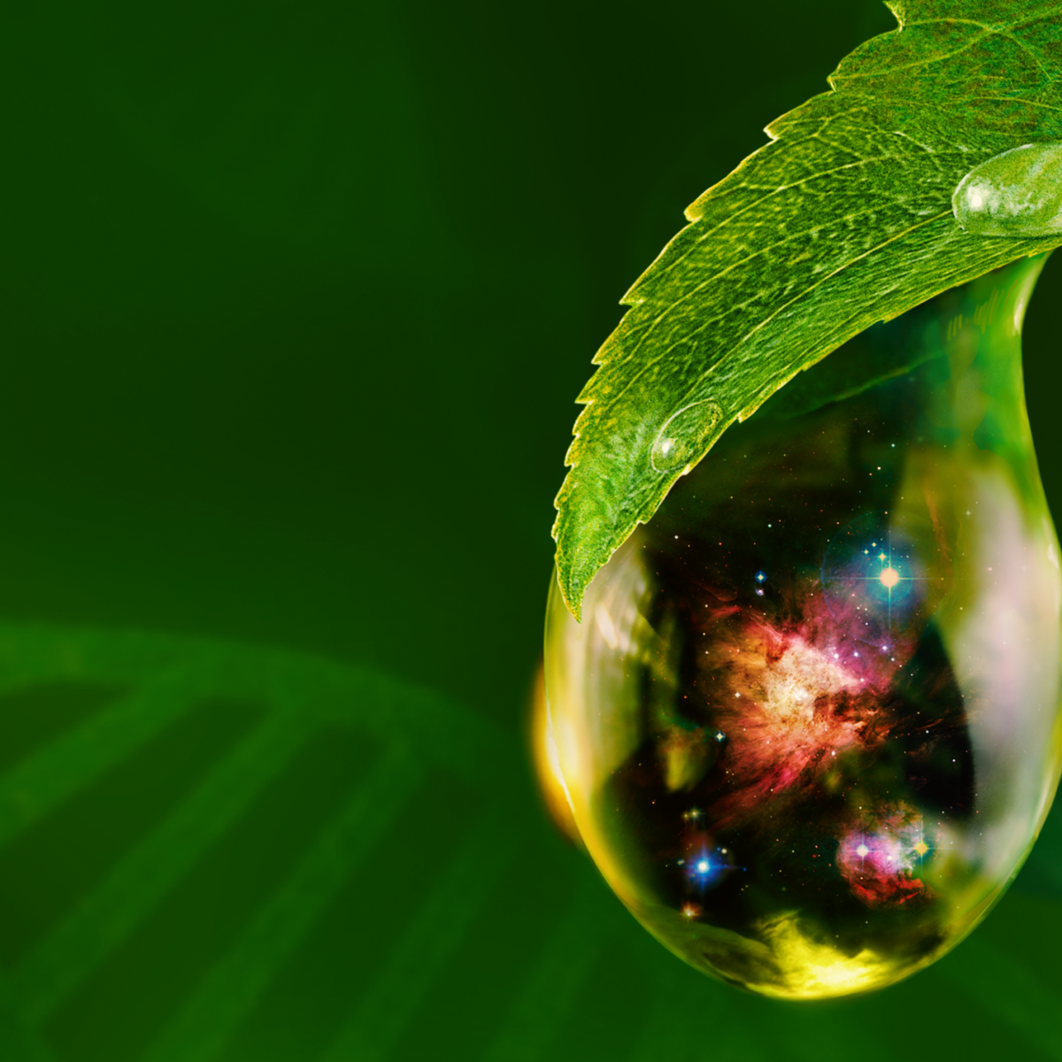 Signs of Life promotional image depicting a drop of water hanging from a leaf. Inside the drop of water is an image of space.