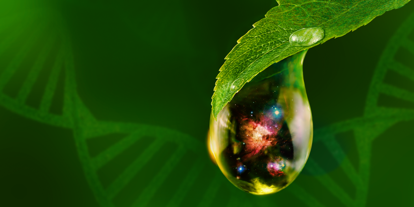 Signs of Life promotional image depicting a drop of water hanging from a leaf. Inside the drop of water is an image of space.